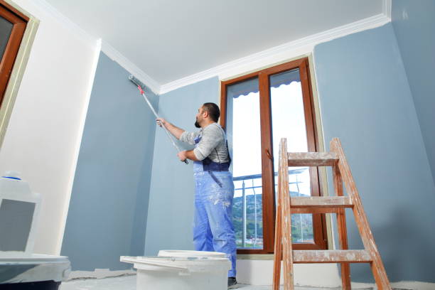 Best Fire-Damaged Drywall Repair  in Hudson Falls, NY